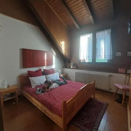 Апартаменты Skilift Free Parking *