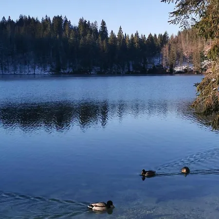 Skilift Free Parking Apartamento Tarvisio